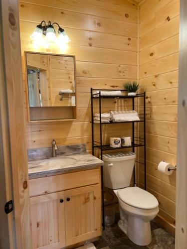 Lincoln Log Cabins في لينكولن: حمام مع مرحاض ومغسلة ومرآة