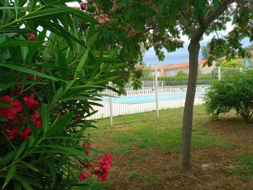 une clôture à côté d'une piscine avec un arbre dans l'établissement Villa perpignanaise, à Perpignan