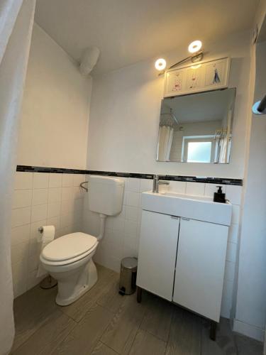 ein Badezimmer mit einem WC, einem Waschbecken und einem Spiegel in der Unterkunft Apartment Carina 2 in Koper