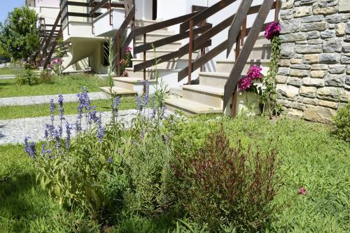 Κήπος έξω από το Levantes Villas