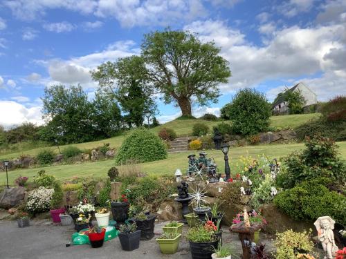 a garden with potted plants and a tree on a hill at Dolla in Nenagh