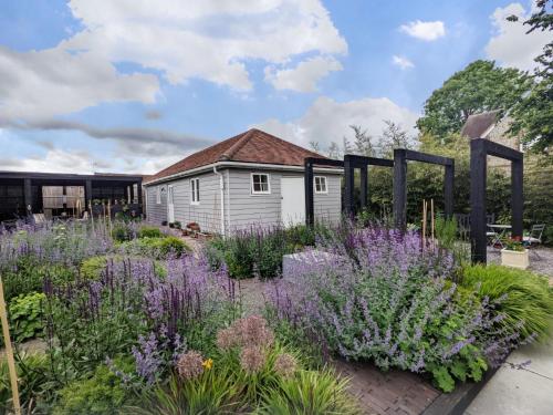 a garden with purple flowers in front of a building at Little Maplewood, Tangmere in Tangmere