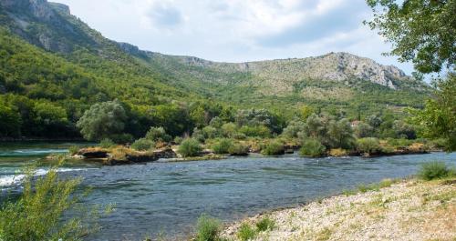 a river with trees and mountains in the background at Vacation Home My Dream in Buna