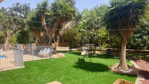 a yard with a playground and a palm tree at אירוח פינת חן in Ramot Naftali