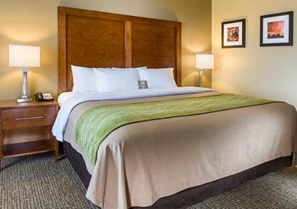 uma cama grande num quarto de hotel com duas lâmpadas em Comfort Inn Midland South I-20 em Midland