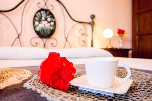 a cup of coffee and a red flower on a table at Agriturismo Poggio Pistolese in Montaione