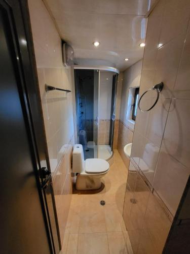 a bathroom with a toilet and a shower at Oasis Guest House in Dobrinishte