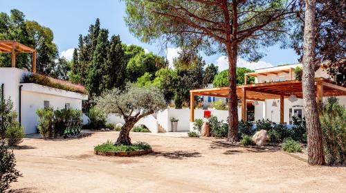 NOHA Lifestyle Hotel - Adults Only