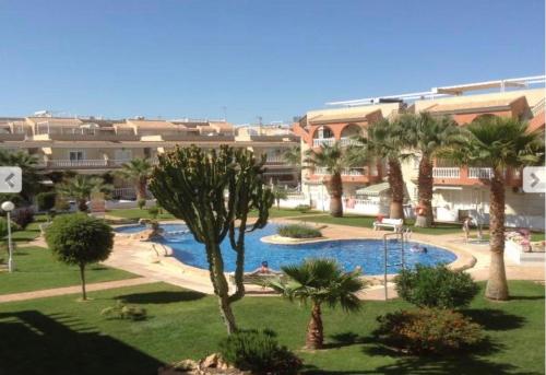 a view of a swimming pool with palm trees and buildings at Fresh apartment, 2 bedroom, 2 bathroom, 2 lovely poolareas in Los Alcázares