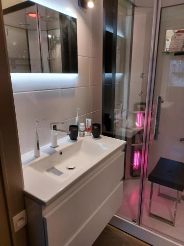 a bathroom with a white sink and a shower at Chalet au bois d'Ourthe in Somme-Leuze