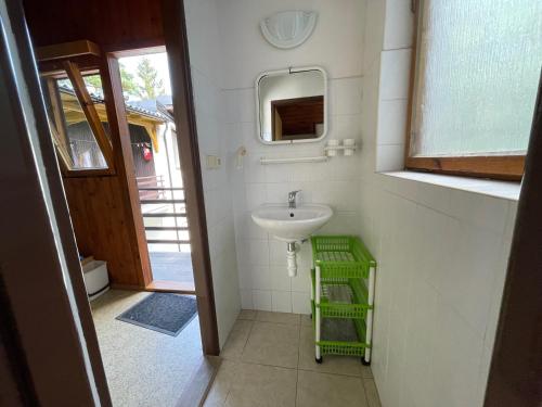 een kleine badkamer met een wastafel en een spiegel bij PENZION VIB Nová Živohošť in Křečovice