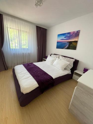 1 dormitorio con 1 cama grande en una habitación de hotel en Bibis Apartments, en Nehoiu