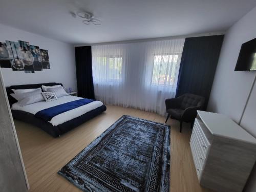 a bedroom with a bed and a desk and a chair at Bibis Apartments in Nehoiu