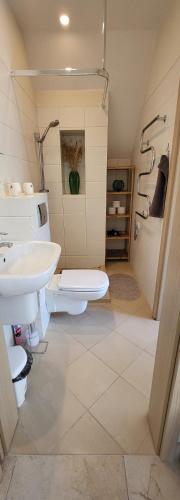 a bathroom with a sink and a toilet at Pergolt Apartment in Pervalka