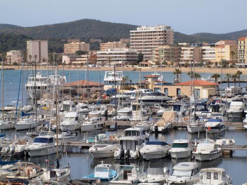 a bunch of boats docked in a harbor at Hôtel Baptistin in Le Lavandou