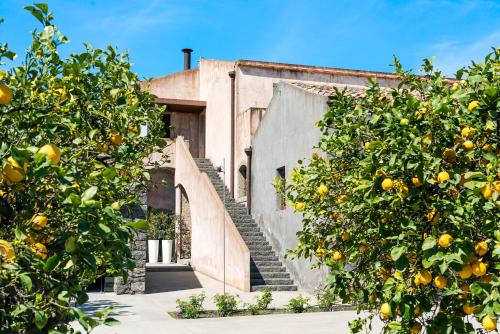 a building with orange trees in front of it at Ramo d'Aria Etna Boutique Hotel in Giarre