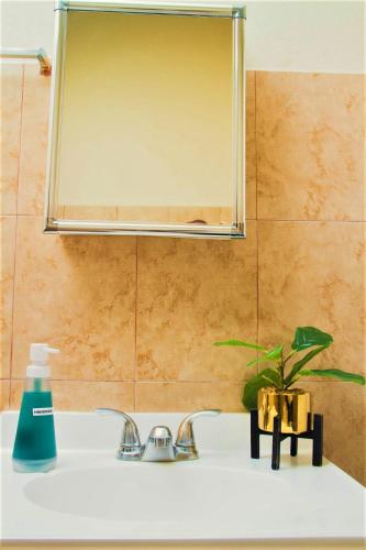 a bathroom with a sink and a mirror and a sink at Eventuality B&B New Kingston in Kingston