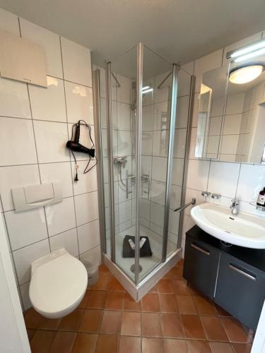 La salle de bains est pourvue d'une douche, de toilettes et d'un lavabo. dans l'établissement Ferienwohnung mit Südbalkon, à Seedorf