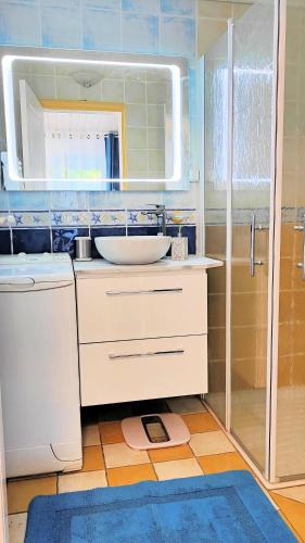 a bathroom with a sink and a shower at Le Petit Paradis in Brive-la-Gaillarde