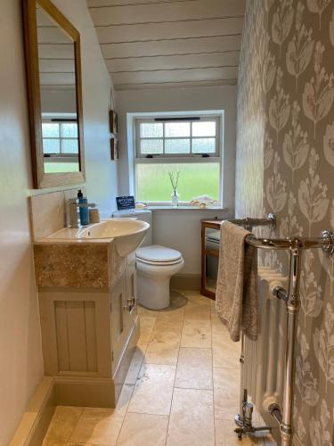 a bathroom with a sink and a toilet and a window at Quirky Highland Cottage with Stunning Views in Wester Fearn