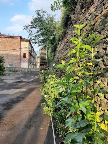 Lalvar Hotel – Photos 3