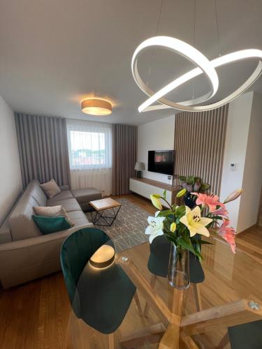 Downtown apartment Darinka