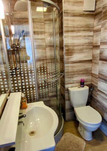 a bathroom with a toilet and a sink at Clara apartman in Csopak
