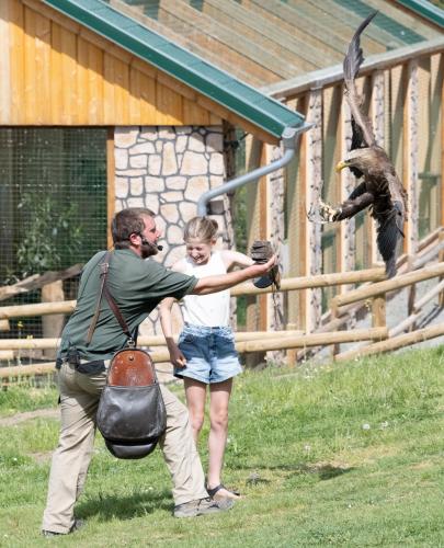 a man and a girl feeding a bird at a zoo at Der Eifel Perle Manderscheid in Manderscheid