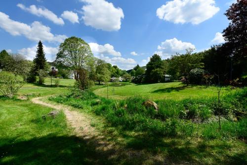 a dirt road through a field with grass and trees at Der Eifel Perle Manderscheid in Manderscheid