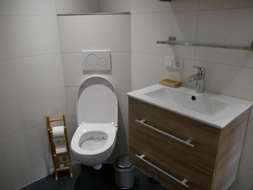 uma casa de banho com um WC branco e um lavatório. em Jonas - Luxe appartement naast de duinen em Oosterend