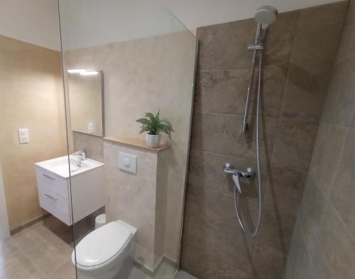 a bathroom with a shower and a toilet and a sink at A Caserella Chambres d'hôtes in Valle-di-Campoloro