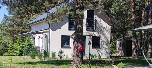 Cień Lasu Ostrowo, Jastrzębia Góra