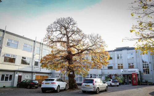 a tree in a parking lot in front of a building at Hotel Celebrity in Bournemouth