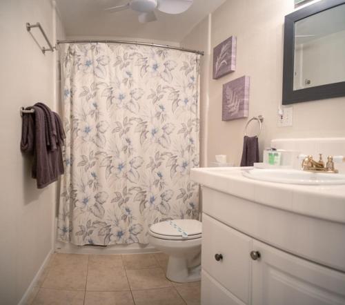 a bathroom with a shower curtain with a toilet and a sink at Molokai Island Retreat with Beautiful Ocean Views and Pool - Newly Remodeled! in Ualapue