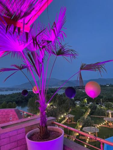 Gallery image of PARADISE Laguna Vain in Lezhë