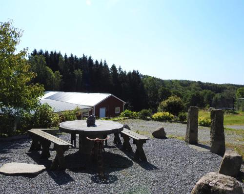 een picknicktafel met een kat erop bij Stenlid - Med naturen och lugnet i fokus in Veddige