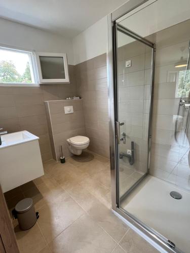 ein Bad mit einer Dusche und einem WC in der Unterkunft Appartement Soveria in Soveria