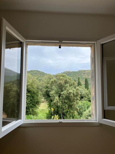 ein Fenster mit Blick auf einen Baum in der Unterkunft Appartement Soveria in Soveria