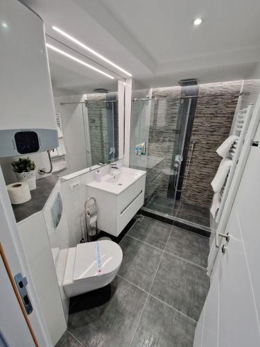 a bathroom with a toilet and a sink and a shower at Apartment Nena in Tošin Bunar