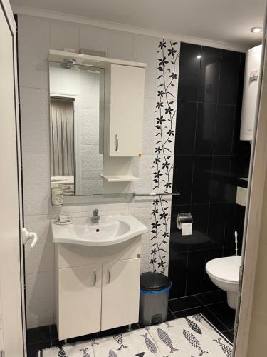 a bathroom with a sink and a toilet and a mirror at Ivet Guest rooms in Varna City