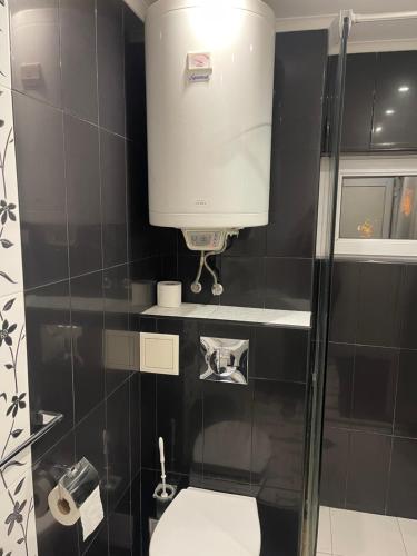 a bathroom with a toilet and a water tank at Ivet Guest rooms in Varna City