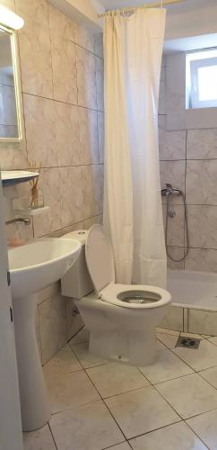 a bathroom with a toilet and a sink and a shower at Apartman No 1 in Sretenovo