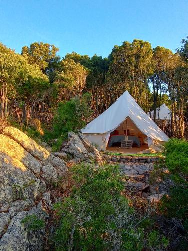 a white tent in the middle of a field at La Cera Farm Camping B&B in Santa Teresa Gallura