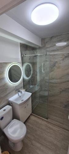 a bathroom with a toilet and a shower and a sink at Belvedere Delux Apartment in Deva