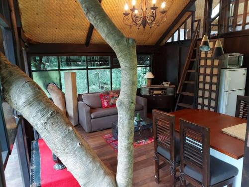 - un salon avec un arbre au plafond dans l'établissement The Tree House, à Hacienda Estela