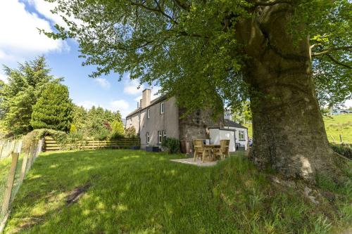a large tree in front of a house at Wilsons Cottage in Falkirk