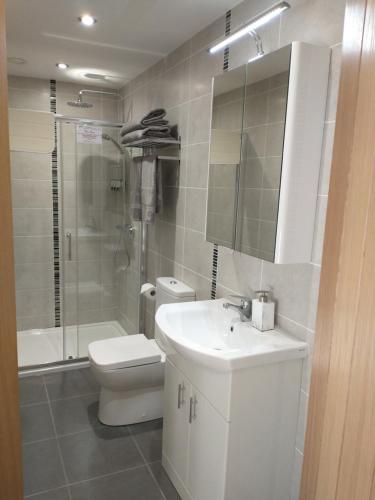 a bathroom with a toilet and a sink and a shower at Woodview Bed & Breakfast in Kilkeel