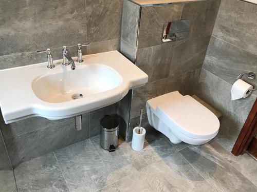 a bathroom with a sink and a toilet at Andresna House in Corrigeenroe