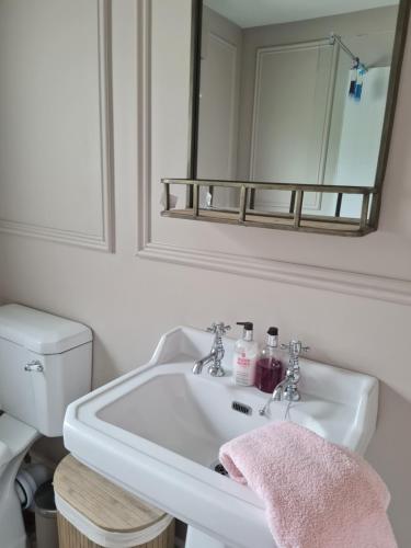 Tyrrellspass的住宿－The Little White House，浴室水槽配有镜子和粉红色毛巾