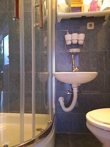 Kylpyhuone majoituspaikassa Apartment Eka